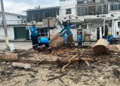 Trabajadores del Municipio de Guayaquil retiraron los árboles inertes del parque en Urdesa Norte.
