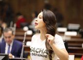 La Asamblea debatió el 13 de marzo sobre el campo Sacha que no se adjudicó.
