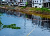 Un manto negro cubre el río Viche, uno de los más afectados por el derrame de petróleo y que desemboca en el río Esmeraldas.
