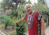 Nydia Vázquez conserva la tradicional huerta en su hogar