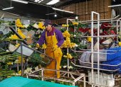 El sector se prepara para una nueva cosecha y embarques de flores.