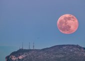 Foto referencial de Luna Rosa en Ecuador