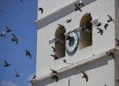 Fotografía del 11 de abril de 2025 de palomas volando frente al reloj de la catedral de la Inmaculada Concepción en Comayagua (Honduras).