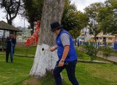 Los técnicos revisaron varios árboles de Latacunga con el objetivo de verificar cual está en mal estado.