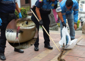 La serpiente encontrada en Las Peñas fue puesta nuevamente en su hábitat natural