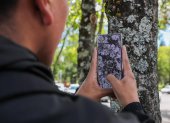 Ecuador inicia identificación de especies mediante fotos.