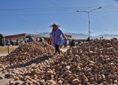 Una mujer fue captada este 2 de junio al pasar sobre un montículo de piedras, puestas por seguidores del exmandatario Evo Morales, que bloquean una carretera a la altura de la localidad de Sipe Sipe, en la región de Cochabamba (Bolivia).