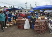 TUNGURAHUA. DESDE AGOSTO LA FERIA DE ANIMALES MENORES DEBEN ESTAR EN MOLLEPAMBA. AG-EXTERNO