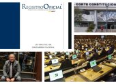 Gabriel René Salvador Lema puso una acción pública de inconstitucionalidad ante la Corte Constitucional en contra de la Ley Orgánica de Solidaridad Nacional, publicada el 10 de junio en el Registro Oficial.