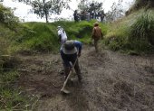 Trabajo. Comuneros de Tola Chica realizan mingas para limpiar las catacochas que se encuentran en el Ilaló.