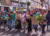 El documental fue galardonado por su narración y estilo.