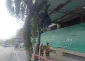 Trabajador muere en obra: cuerpo fue hallado sobre un árbol en la avenida 12 de Octubre y Tarqui, norte de Quito.