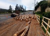 Caída de troncos y choque en Papallacta complican el tránsito este 30 de junio.
