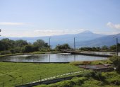 Un daño en la línea de conducción del sistema Mica-Quito Sur interrumpió el servicio de agua potable en siete barrios del sur de la ciudad.
