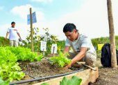 La práctica agrícola transforma la formación universitaria