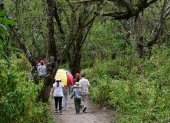 El parque Los Algarrobos es el escenario para que escuelas de Cumbayá organicen campamentos vacacionales y caminatas al aire libre.