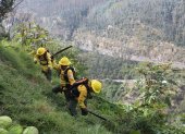 Se limpian los terrenos cubiertos de maleza, hierba seca, ramas y material vegetal acumulado.