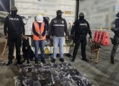 Canes detectan droga en contenedores con fruta en puerto de Guayaquil