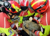 Bomberos de Quito rescatan a perrita que estaba en labor de parto en un balcón de una vivienda en el Centro Histórico.