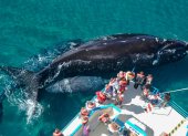 Fotografía que muestra un grupo de personas durante un avistamiento de ballenas en Chubut (Argentina).