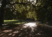 Parisinos se refugian del calor este martes 12 de agosto de 2025, en el parque de Buttes-Chaumont de la capital francesa.