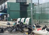 La basura se acumula en un área del Malecón de Quevedo, cerca al Mercado del Río.