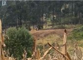 Hecho. Los vecinos captaron a la maquinaria en medio de la vegetación.