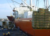 Cajas de banano transportadas para ponerlas en contenedores para ser exportadas.
