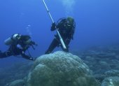 El riesgo de colapso de la Capa de Hielo de la Antártida Occidental (WAIS) es cada vez mayor