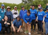 Se realizó siembra de mangle y minga.