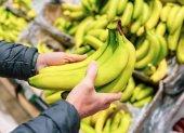 Exportaciones de banano ecuatoriano a China se multiplican.