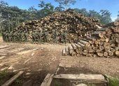 Fuerzas Armadas y ARCOM destruyeron maquinaria usada en tala ilegal en Sucúa, Morona Santiago