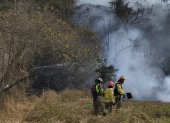 Los bomberos de Guayaquil combaten el incendio forestal registrado en el bosque protector de cerro El Paraíso.
