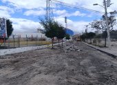 La obra de regeneración en un área cercana al estadio Olímpico de Riobamba ha generado reacciones.