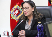 La ministra de Gobierno aseguró la presencia de grupos terroristas detrás de los hecho violentos ocurridos en la noche del 22 de septiembre.