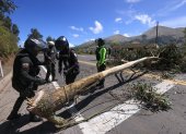 Miembros de la Policía Nacional retiran un árbol que los manifestantes cortaron para obstaculizar una vía a Otavalo.