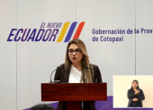 Carolina Jaramillo, vocera presidencial, dio declaraciones sobre la evolución del paro nacional.