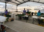 Imbabura. Pocos trabajadores han podido ejercer labores en fincas florícolas.