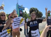 Activistas de la organización Personas por el Trato Ético de los Animales (PETA) sostienen carteles el 12 de octubre de 2025, en Miami (Estados Unidos).