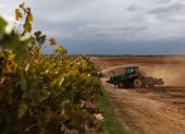 Cambios. Un tractor forma bordes de tierra para árboles de almendro en el terreno de un antiguo viñedo de uvas para vino en el Valle Central, que fue removido de una finca.