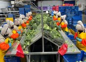 Ecuador: ¿Cómo afecta el aumento del salario básico a pequeñas y medianas empresas?