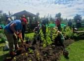 Voluntarios del Semillero Ciudadano y del equipo técnico del proyecto Hábitats Ecológicos Urbanos participaron en la siembra.