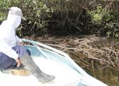 Pescadores han constatado una poda agresiva y mala disposición de los desechos de la misma en el estero Salado