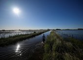 Un hombre camina por una carretera inundada debido a las fuertes lluvias en 9 de Julio, provincia de Buenos Aires, Argentina, el 5 de noviembre de 2025.