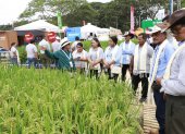 Capacitación. Expertos del congreso muestran a agricultores mejores técnicas de productividad.