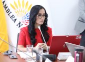 Viviana Veloz exige detalles de costos y resultados del viaje presidencial a EE.UU.