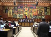 La Asamblea Nacional no conoció el informe para primer debate del proyecto de Ley Orgánica de Repetición.