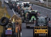 Protesta de agricultores y ganaderos con tractores en la autopista A9, en medio de la creciente preocupación por los brotes de dermatosis nodular contagiosa en Francia.