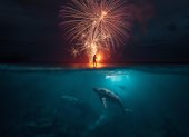 Representación del uso de fuegos artificiales y la vida marina.
