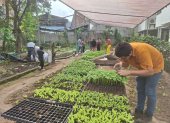 Huertos. El proyecto involucró a más de 200 mil personas.